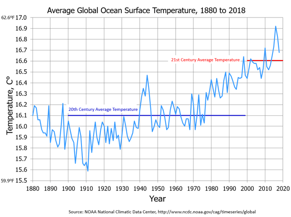 1880 to 2018 Ocean Surface Temperature